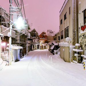 美女献身1-46集电视连续剧
