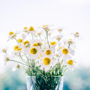 美女献身1-46集电视连续剧
